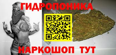 спайс Берёзовский