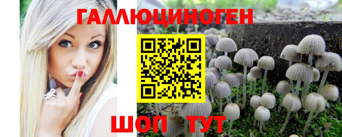Галлюциногенные грибы прущие грибы  Вход с VPN  Псилоцибиновые грибы мухоморы  Ирбит 